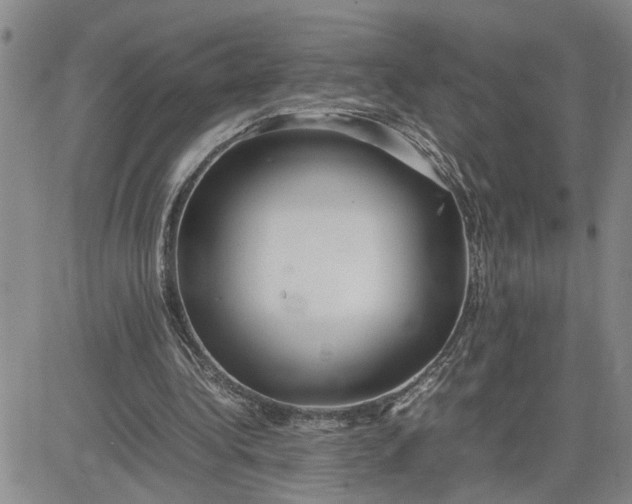 X0000083620340200702260959