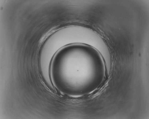 X0000083620341200702260959