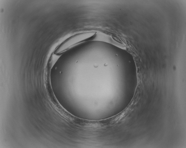 X0000083620342200702260959