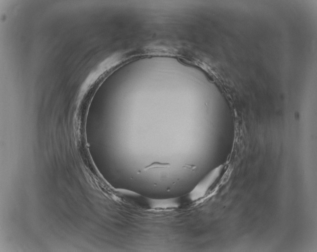 X0000083620343200702260959