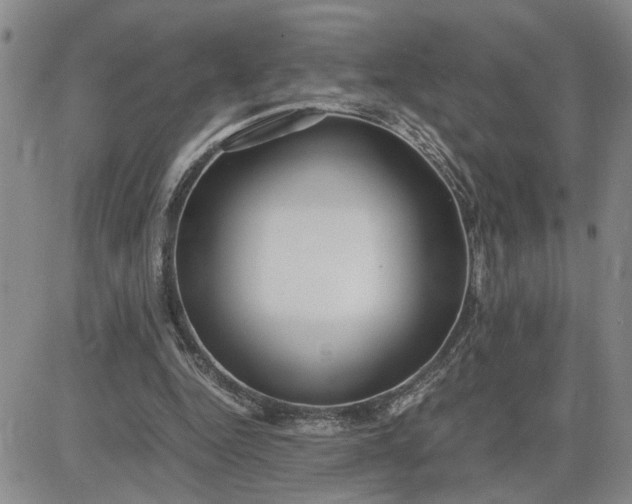 X0000083620344200702260959