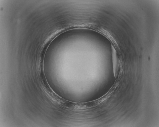 X0000083620346200702260959