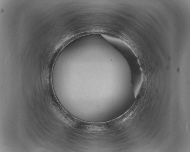 X0000083620347200702260959