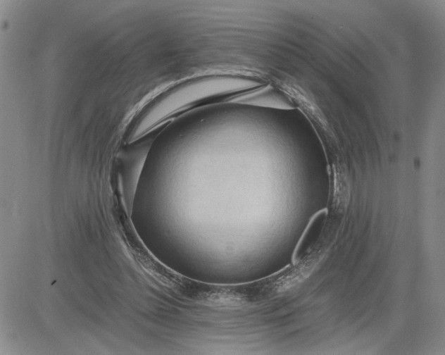 X0000083620348200702260959