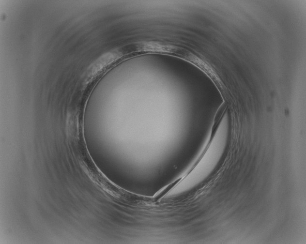 X0000083620349200702260959