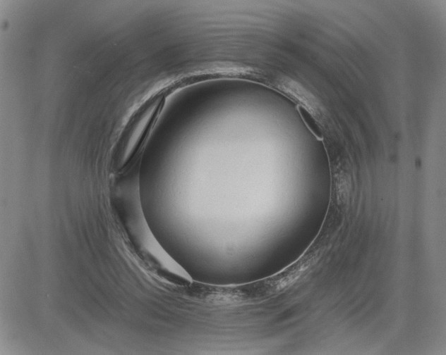 X0000083620350200702260959