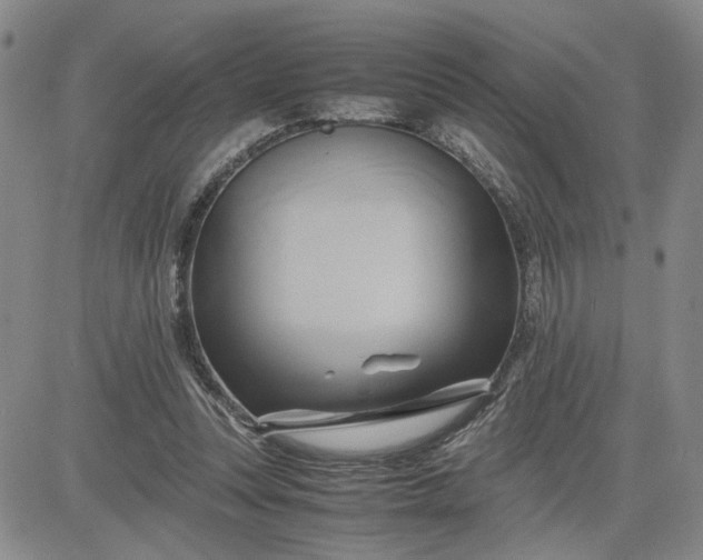 X0000083620351200702260959