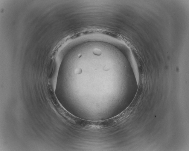 X0000083620352200702260959