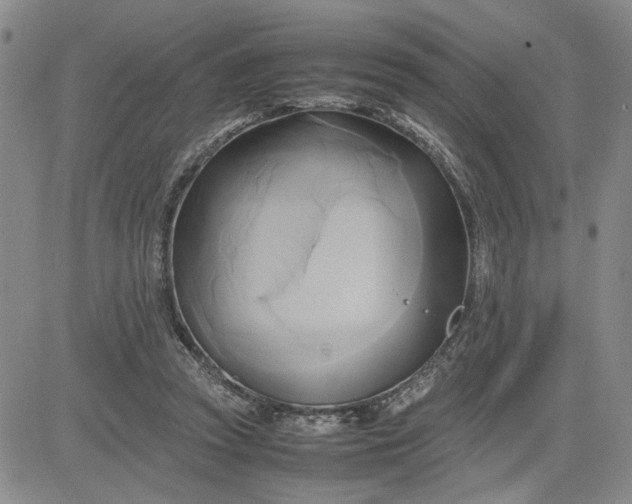 X0000083620353200702260959