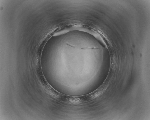 X0000083620355200702260959