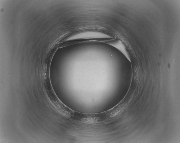 X0000083620356200702260959