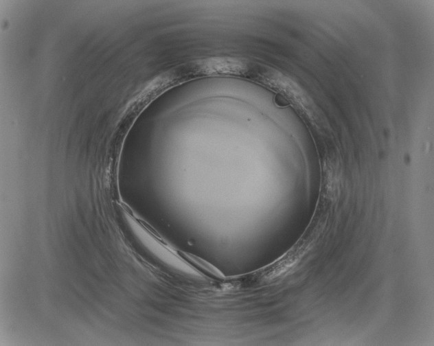 X0000083620357200702260959