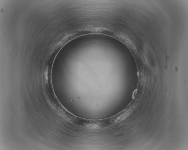 X0000083620358200702260959