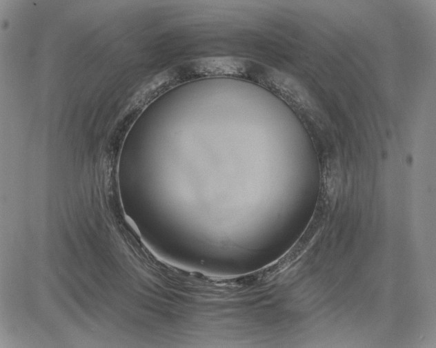 X0000083620359200702260959