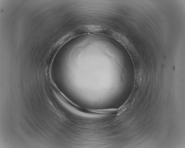 X0000083620360200702260959