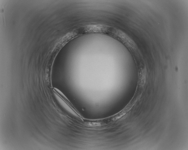 X0000083620361200702260959