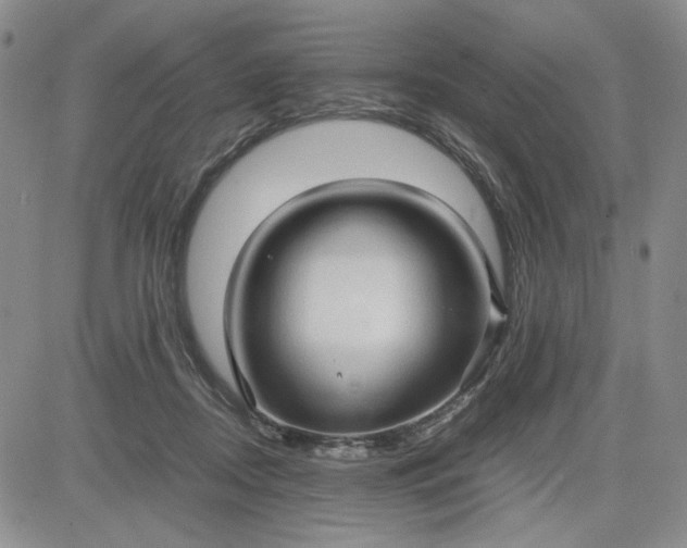 X0000083620362200702260959