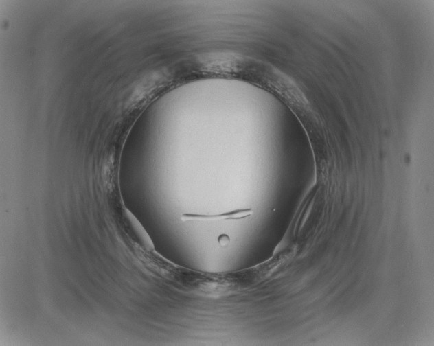 X0000083620364200702260959