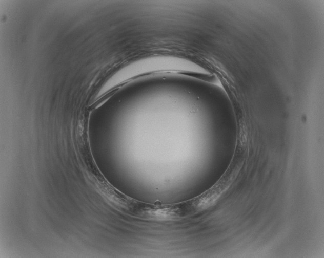 X0000083620365200702260959