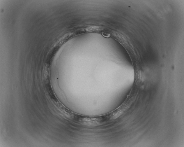 X0000083620367200702260959