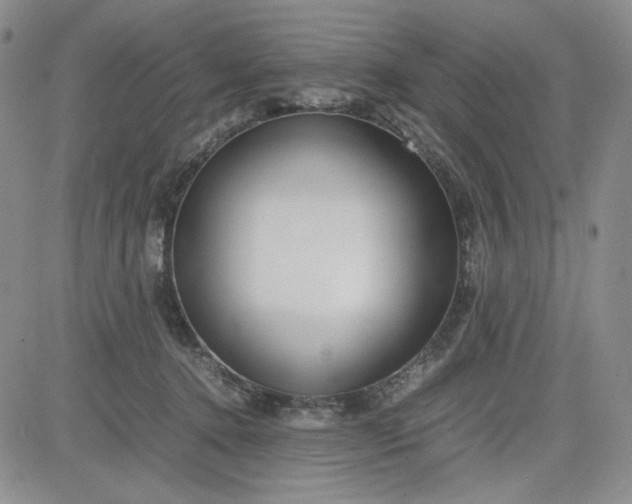 X0000083620368200702260959