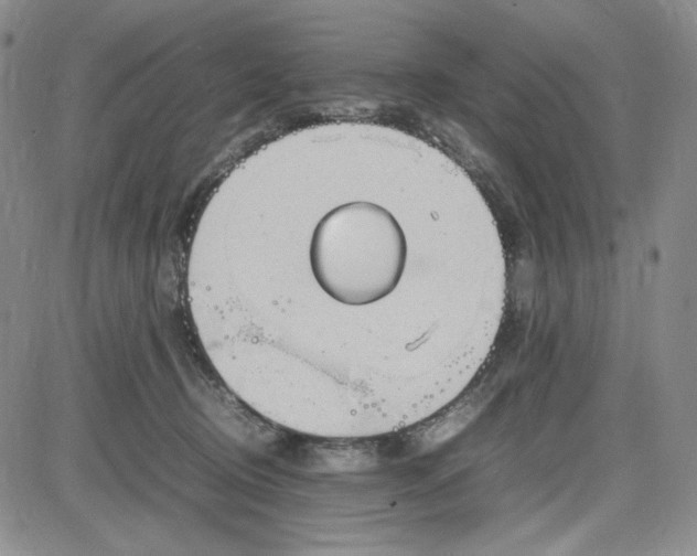 X0000083620370200702260959