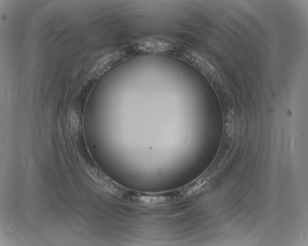 X0000083620371200702260959