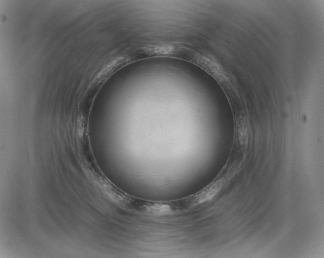 X0000083620374200702260959