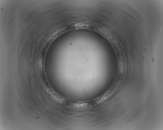 X0000083620375200702260959