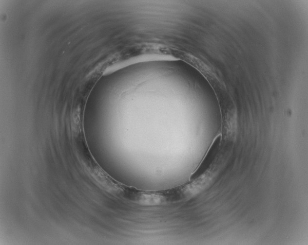 X0000083620376200702260959