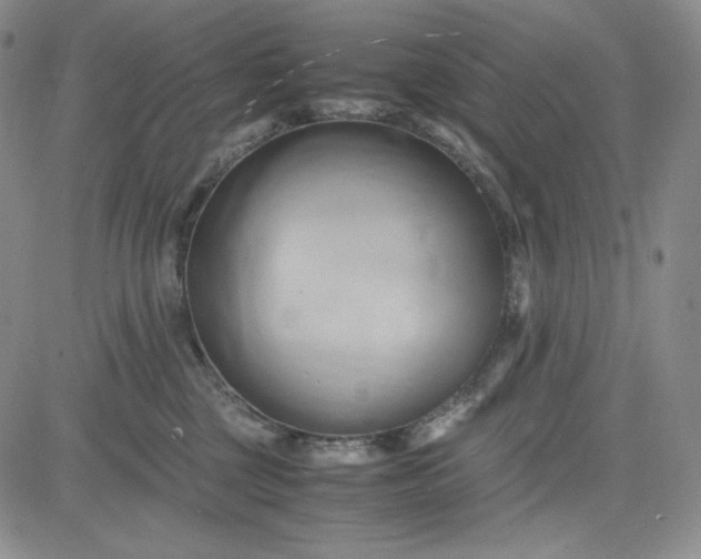 X0000083620377200702260959