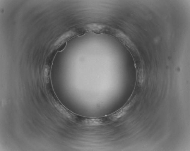 X0000083620378200702260959