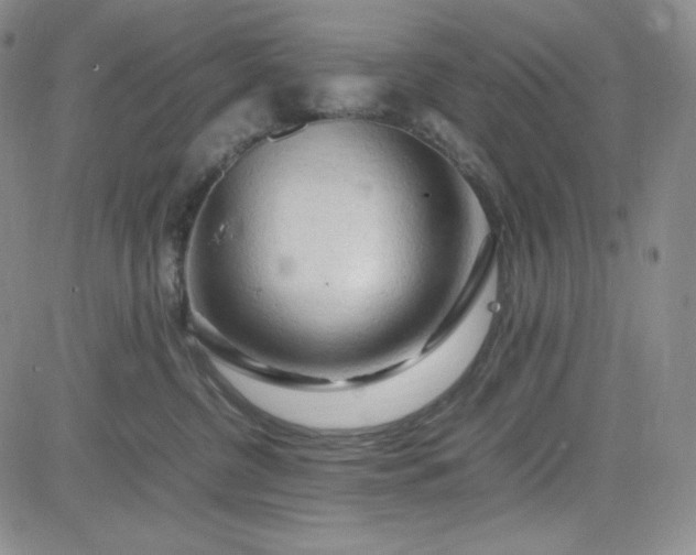 X0000083620380200702261000