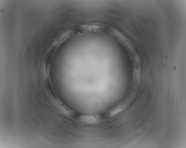 X0000083620381200702261000