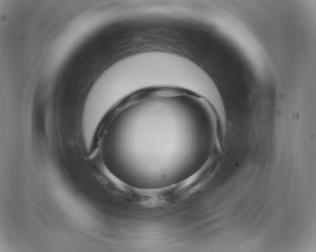 X0000083620382200702261000