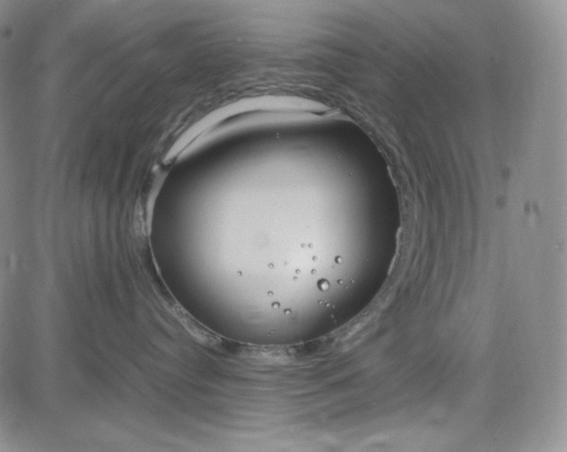 X0000083620384200702261000