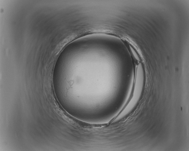 X0000083620385200702260959