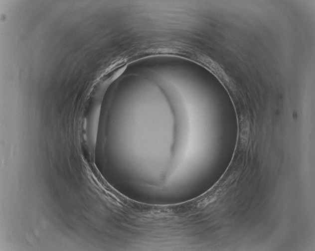 X0000083620386200702260959