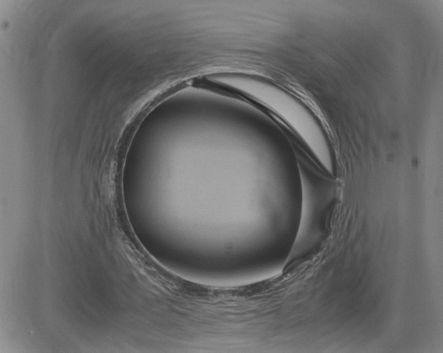 X0000083620387200702260959