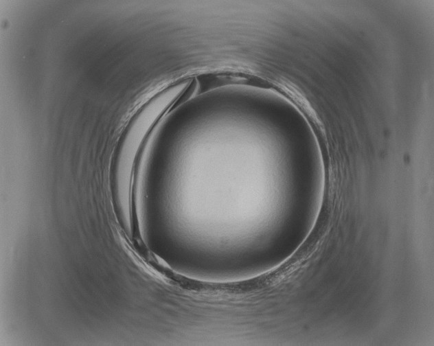 X0000083620389200702260959