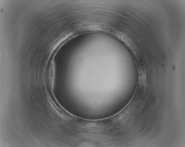 X0000083620390200702260959