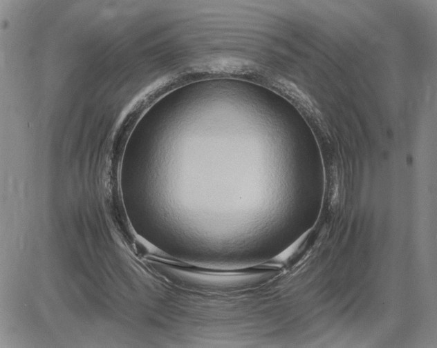 X0000083620392200702260959