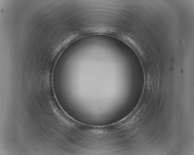 X0000083620394200702260959