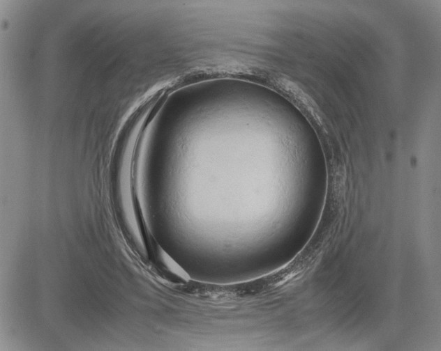 X0000083620395200702260959