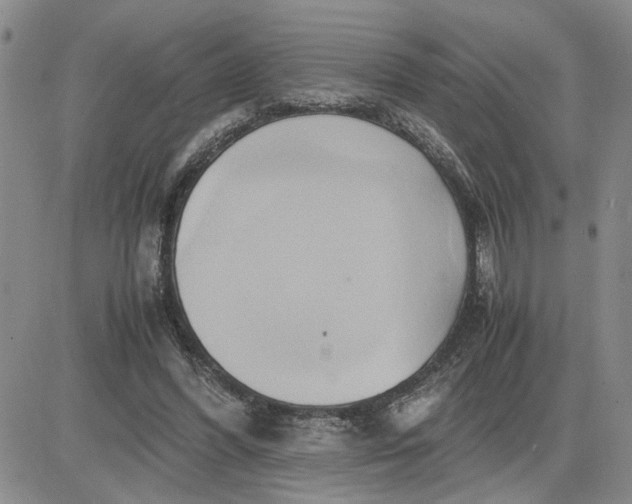 X0000083620396200702260959