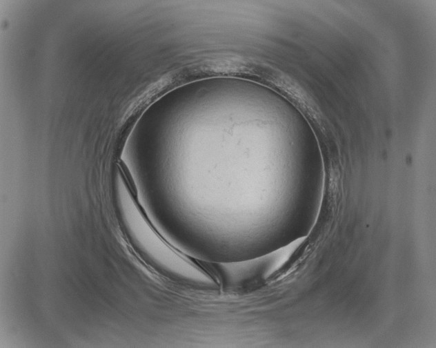 X0000083620397200702260959