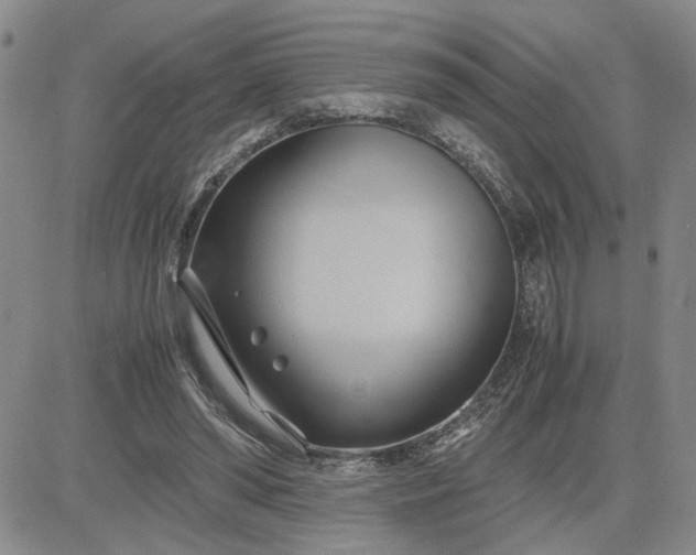 X0000083620398200702260959