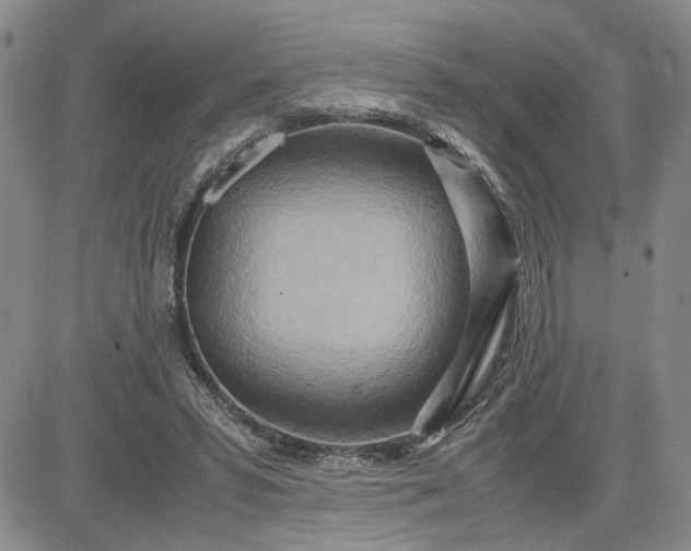 X0000083620399200702260959