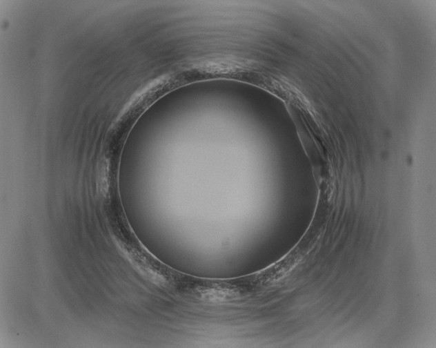 X0000083620400200702260959