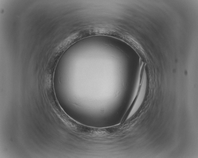 X0000083620401200702260959